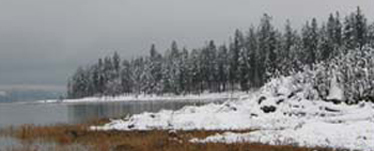 Gifford campground area in the snow. Pine trees near the lake covered in snow.